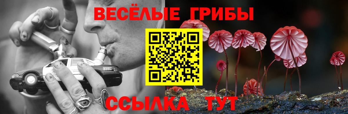 Сатка  Галлюциногенные грибы Psilocybine cubensis  Вход с VPN  Галлюциногенные грибы Psilocybine cubensis 