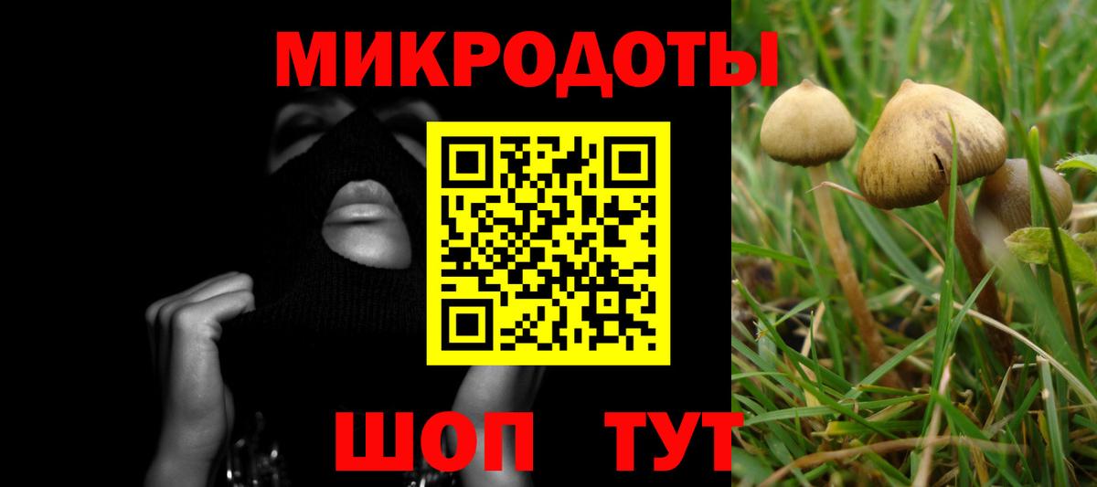 Галлюциногенные грибы прущие грибы Сатка